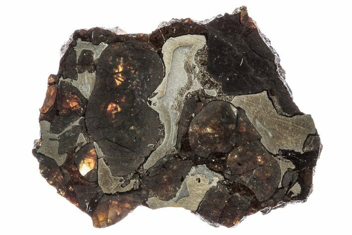 Polished Sericho Pallasite Meteorite ( g) Slice - Kenya #242920